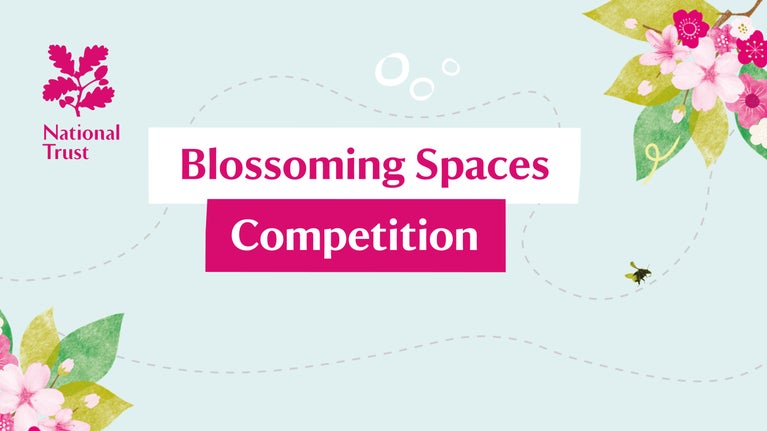 Illustration of a bee following a trail on a blue background. The central text reads "Blossoming Spaces Competition"